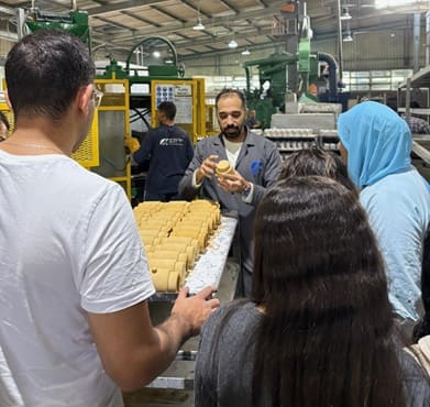 Participants in monitoring production processes